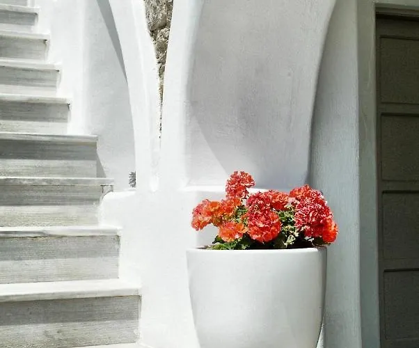 Paolas τown Boutique 酒店 Mykonos Town