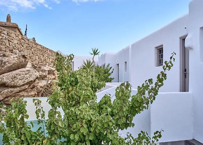 酒店 Paolas τown Boutique