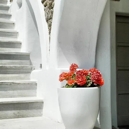 Paolas τown Boutique ホテル Mykonos Town